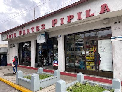 Negocio Refaccionaria Auto Partes Pipila