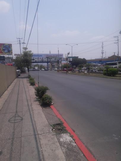 Negocio Refaccionaria Autozone