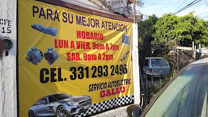 Servicio Auto Eléctrico Gallo