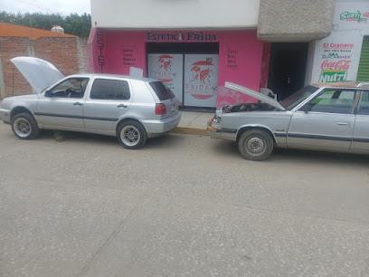 Servicio Eléctrico Automotriz Marino