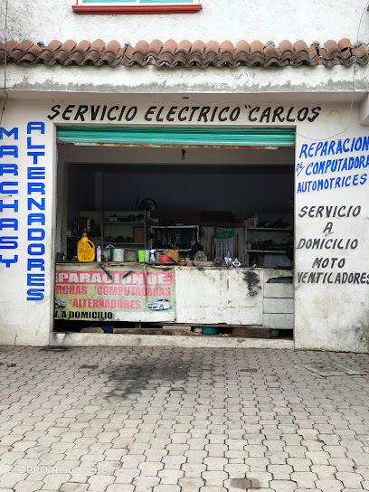 Negocio Servicio Eléctrico Carlos