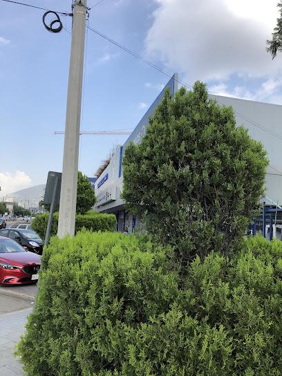 Surtidor Eléctrico De Monterrey