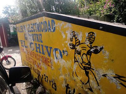 Negocio Taller Eléctrico Automotriz El Chivo