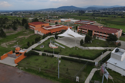 Negocio Tecnológico De Estudios Superiores De San Felipe Del Progreso