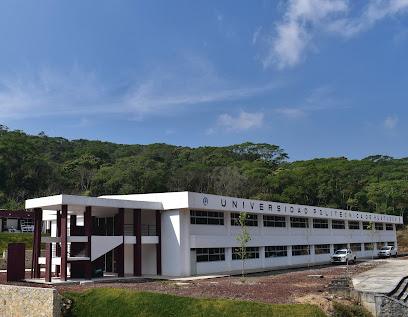 Negocio Universidad Politécnica De Huatusco