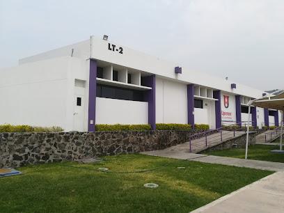 Negocio Universidad Politécnica Del Estado De Morelos