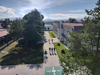 Negocio Universidad Tecnológica De Tulancingo